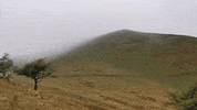 GIF by Alba Campers