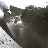 Rallying Safari Rally GIF by FIA World Rally Championship