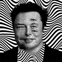 Elon Musk Nft GIF