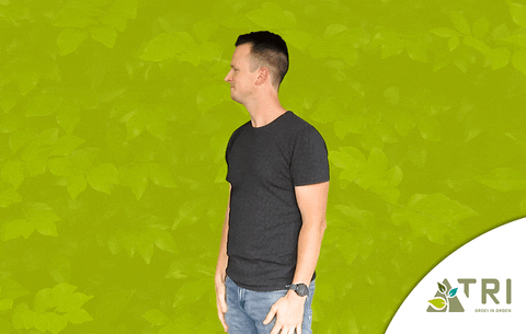 Boom Plant GIF by TRI Groei in Groen