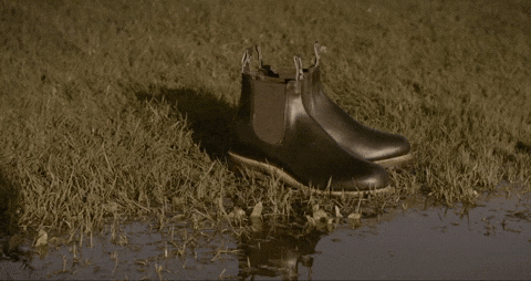 LinusVanPelt giphyupload GIF