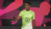 Vfl Wolfsburg Selfie GIF by Bundesliga