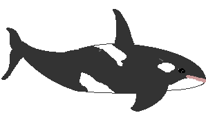 whale killer STICKER