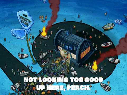 Season 5 GIF by SpongeBob SquarePants