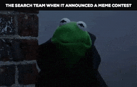 GIF by walter_