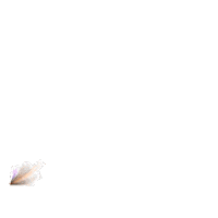 Rajkummar Rao Trending Sticker by MaddockFilms