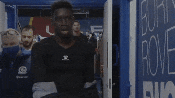 Watford Fc Sport GIF by Watford Football Club