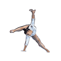 Fgi Sticker by Federazione Ginnastica d'Italia