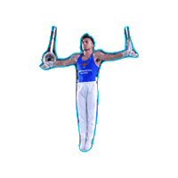 Fgi Sticker by Federazione Ginnastica d'Italia