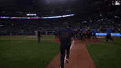 Lets Go Win GIF by Toronto Blue Jays