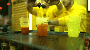 portugal festa GIF by Licor Beirão