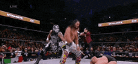 The Elite Wrestling GIF by AEWonTV