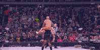 The Elite Wrestling GIF by AEWonTV