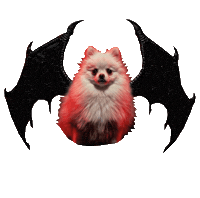 Novathepom Sticker by cervenafox
