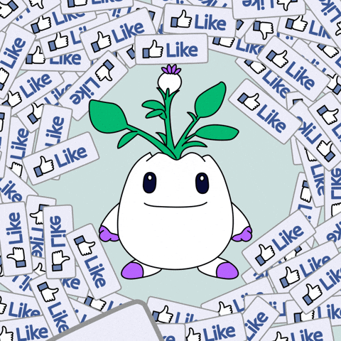 Social Media Love GIF by Magic Eden