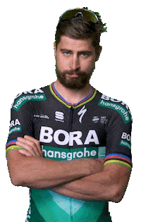 Peter Sagan No Sticker by Specialized Bicycles