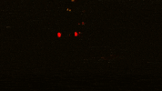 Rely Night Time GIF