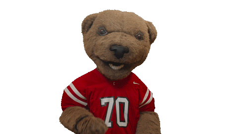 cornell university touchdown Sticker