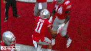 Ncaa Sports GIF by Ohio State Athletics