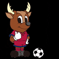 Soccer Antlers GIF by kashimaantlers
