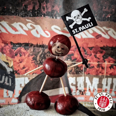 St Pauli Sport GIF