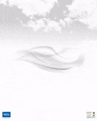 Jack Brooks Wicket GIF by Somerset County Cricket Club