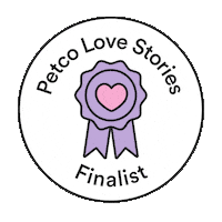 Story Adopt Sticker by Petco Love