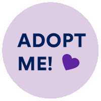 Adopt Petco Foundation Sticker by Petco Love