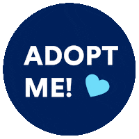 Adopt Petco Foundation Sticker by Petco Love