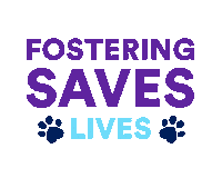 Petco Foundation Animal Lovers Sticker by Petco Love