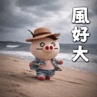風大 GIF