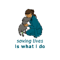 Doctor Pitbull Sticker by Ethos Vet Health