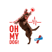 Dog Pet Sticker by Elanco Brasil
