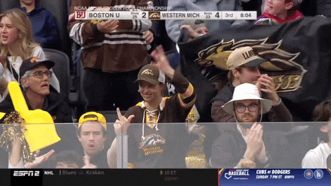Frozen Four Flag GIF by TheDreamTeam 