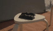 claritistore beckenboden empelvic GIF