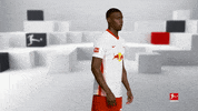 Posing Line Up GIF by Bundesliga
