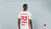 Happy Rb Leipzig GIF by Bundesliga