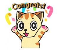 Cat Wow GIF by JPedicini
