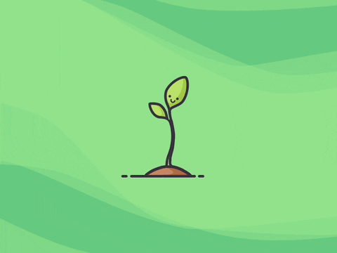 plants GIF