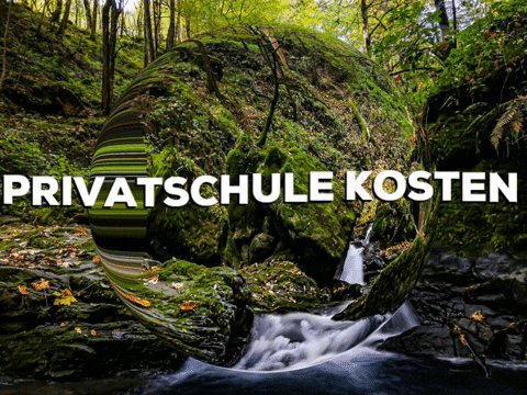 School Lol GIF by PrivatschulenPORTAL.de