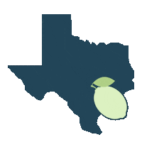 Texas Galveston Sticker by iResponze