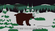 bear wondering GIF by South Park 