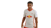 Oh Yeah Win Sticker by RB Leipzig