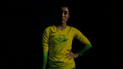 Oregon GIF by GoDucks