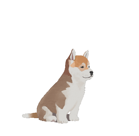 Haakmuidraws giphyupload Sticker
