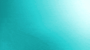 Happy Omliversary GIF by Omlie Consulting