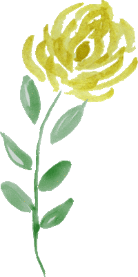 kantorrebi flower plants virag noveny Sticker