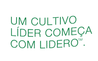 Arroz Sticker by BASF Soluções para a Agricultura