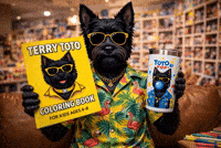 Coloring Book Kids GIF by Terry Toto