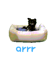 아르르 Sticker by arrr_official